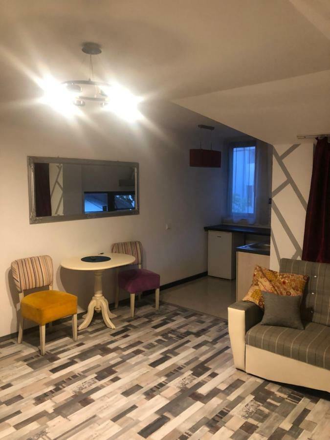 The Vintage - Wonderful Apartment In Best Location Craiova Luaran gambar